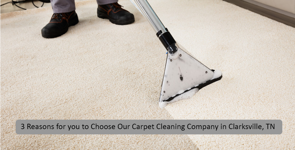 3 Reasons to choose our carpet cleaning company