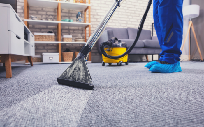 What is The Best Carpet Cleaner