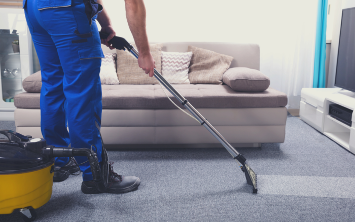 What is The Best Carpet Cleaner