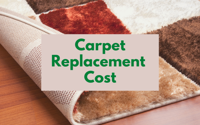 Carpet Replacement Cost
