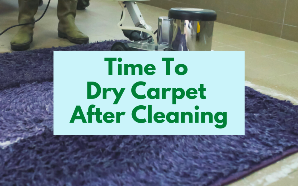 How Long Does It Take The Carpet To Dry After Cleaning